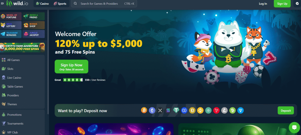 Wild.io DOGE casino platform